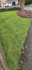 Border advice please!