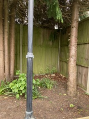 Two things: is this a weed and what would you plant in a dry shady corner?