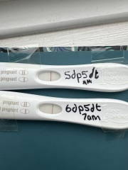 5dp5dt - Line eyes please!!