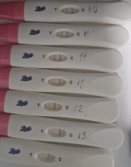 More ovulation questions…
