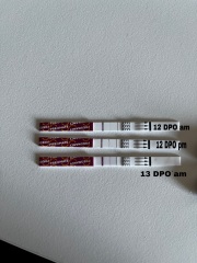 My first positive.. but is this line progression something I should be worried about?