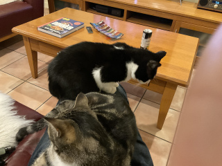 Lap wars