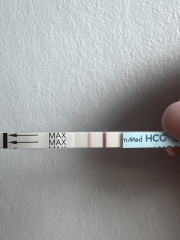 Dec-Christmas Babys 2024