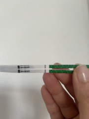 Opinions on tests - positive?!