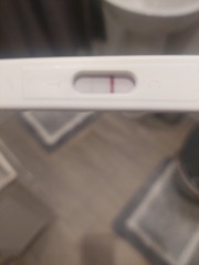 What could be going on?