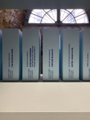 Benin at the Venice Biennale