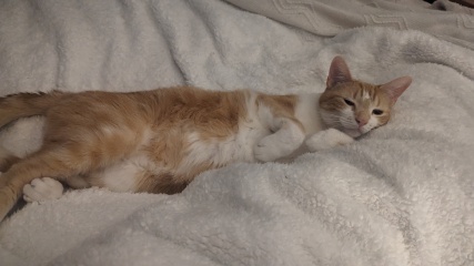 How to help my sad boy?