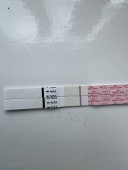 Immune/NK cells pred thread #32