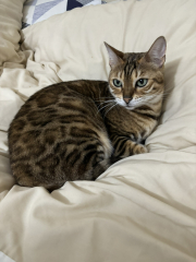 Meet Ralph