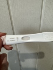 3dpo