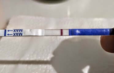 1dpo buddies