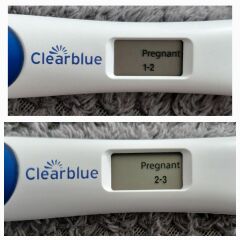 Dec-Christmas Babys 2024