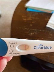 12 ovulation days in a row (2 peak, 10 high), maybe a faint positive, so confused