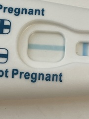 Late on period testing negative ?