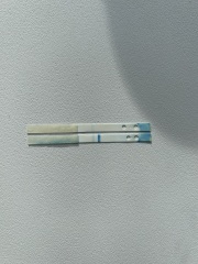 Does anyone know what the lines in digitals mean?