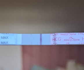 HELP!! Evap lines or faint positive?!