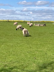 Come and tell me your dull and unexciting news 29: Calmly through the day