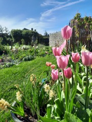 Pregnancy after loss support