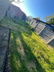 Garden design/planting