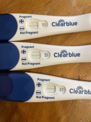 Am I pregnant… clear blue test