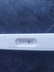 12dpo line - please help!