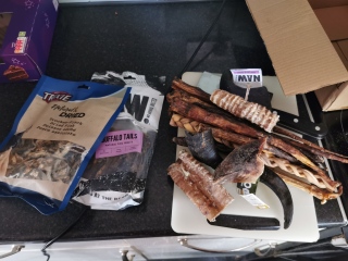 Puppy Survival Thread for New and Old Pups - Spring is around the corner!