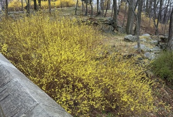 Come and tell me your dull and unexciting news 29: Calmly through the day