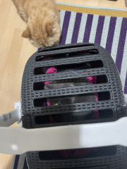 What cat carriers and tree houses/scratch posts do you all have?