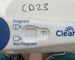 Clearblue - false positive? Heard so many bad stories!