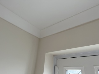 Damp line appearing on wall - insulated plasterboard? Pics!