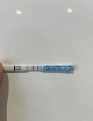 Positive ovulation test?