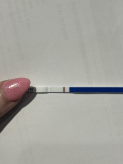 5dpo today!