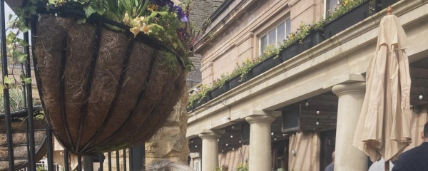 Does anyone recognise these places in Harrogate?