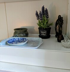 Yesterday my cat ate an entire rat.