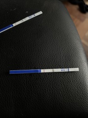 Vvfl? Help please!