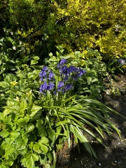 Come and tell me your dull and unexciting news 29: Calmly through the day