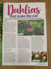 Gardening magazine, which one?