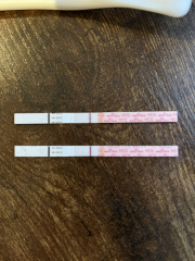 5dpo today!