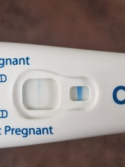 TTC April 2024…Christmas Babies! ❤️✨