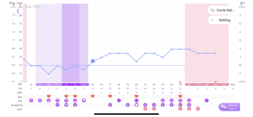 Implantation Dip OR Oestrogen Dip???