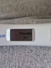 Due Jan 2025