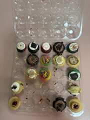 Come and tell me your dull and unexciting news 29: Calmly through the day