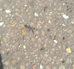 Thread 12 - TalkLair: “I say we take off and nuke the entire site from orbit. It's the only way to be sure.”