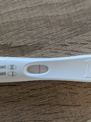 How many DPO?