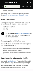 Neighbour threatening to poison pets, should I report to police?