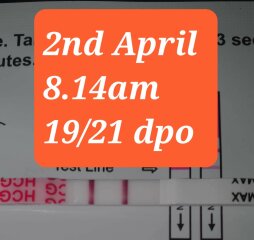 Dec-Christmas Babys 2024