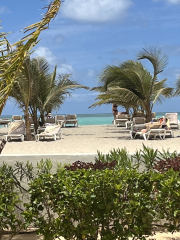 Tropical but not long haul