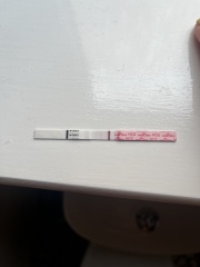 TTC April 2024…Christmas Babies! ❤️✨