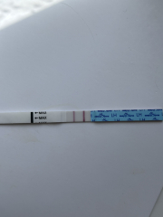 5dpo today!