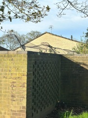 Can anyone tell me about this guys cat fencing